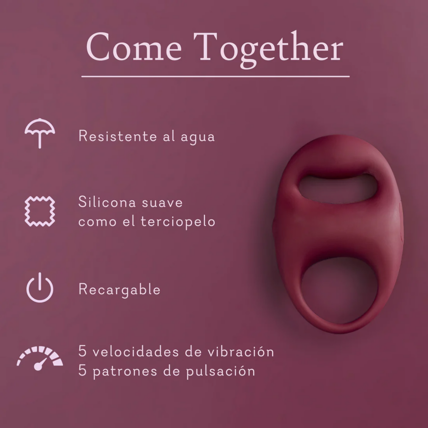 Come Together - Precio Aliadas