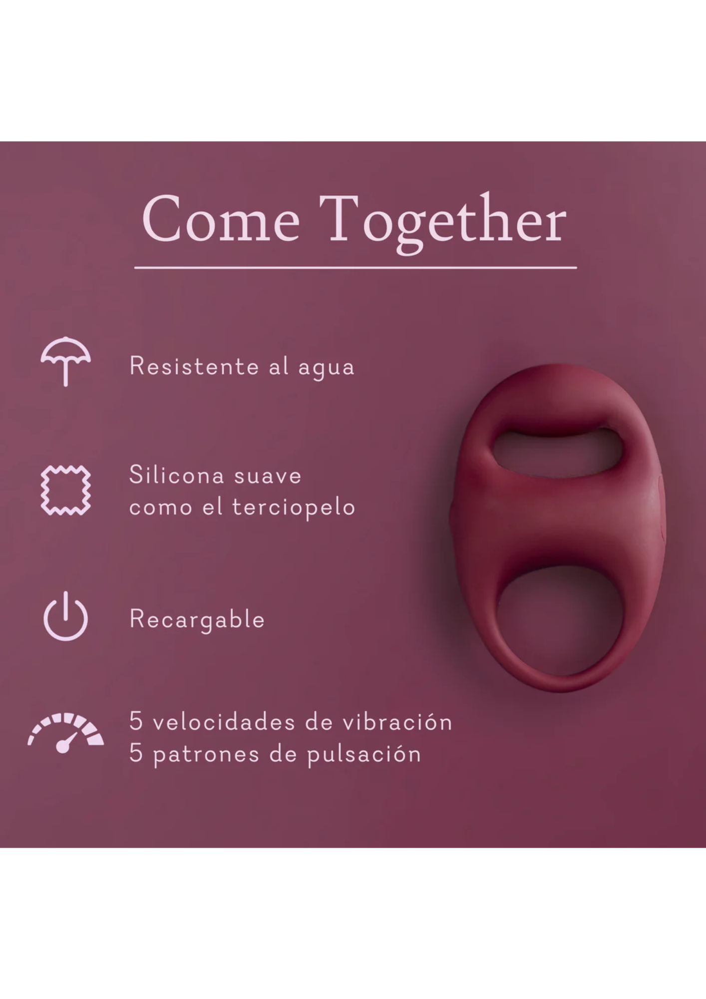 Come Together - OUTLET (FS)