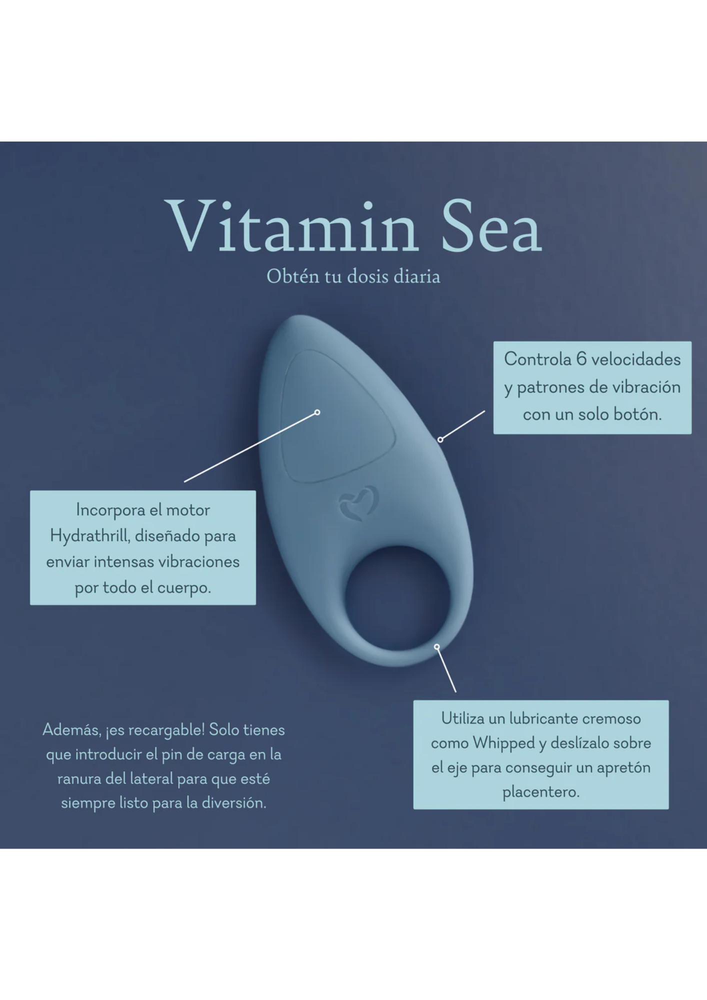 Vitamin Sea (42)